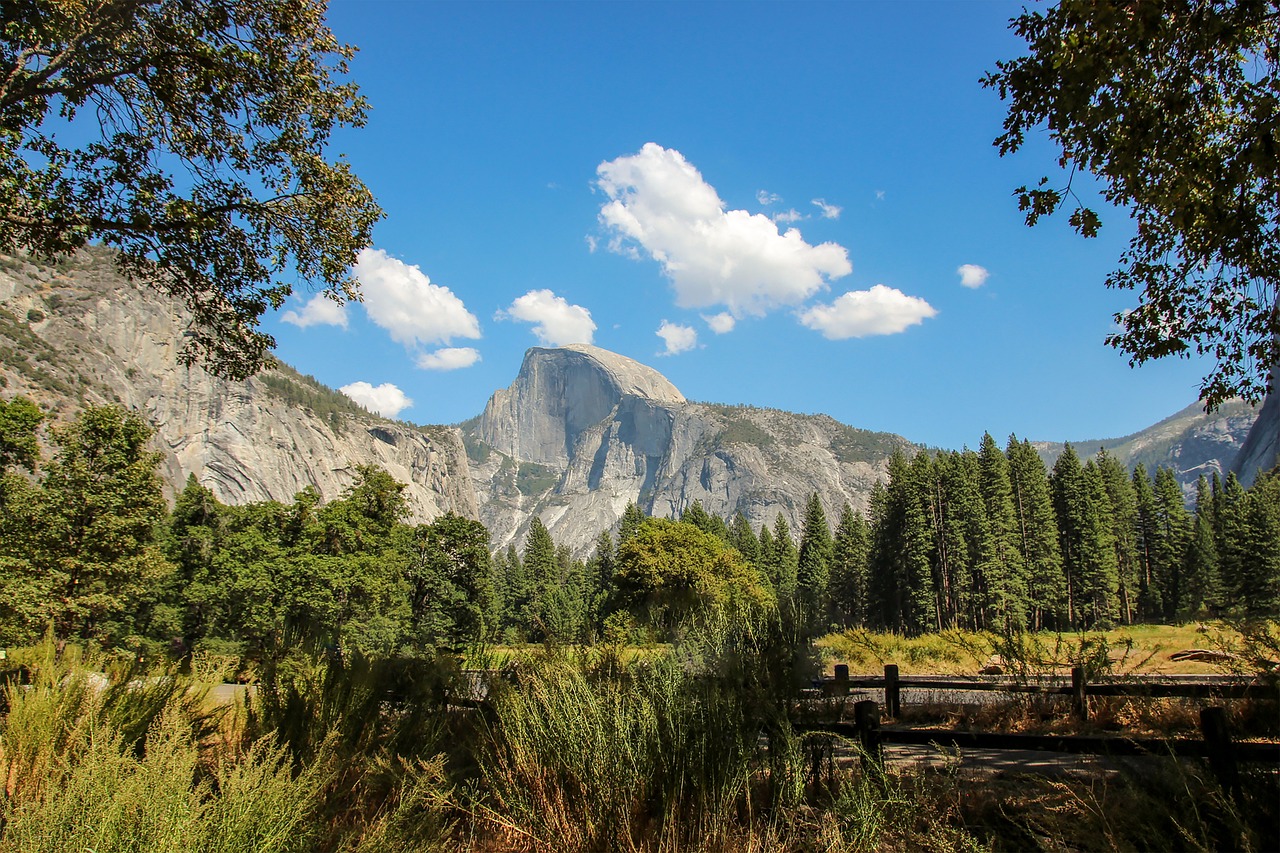 Exploring the Unique Ecosystems of Yosemite’s High Country